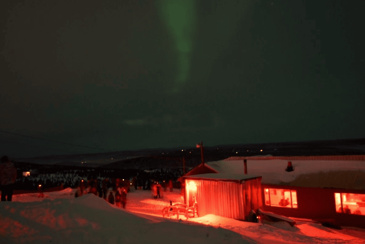 阿拉斯加极地生态系统探索与研究